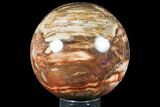 Large, Colorful Petrified Wood Sphere - Madagascar #133678-1